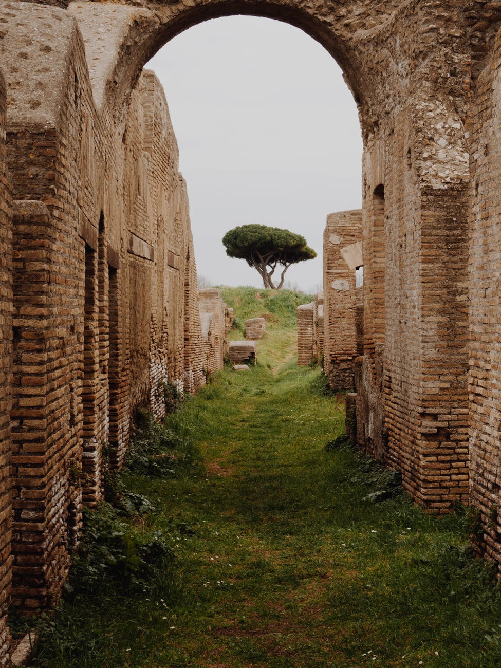 Stone ruins with tree